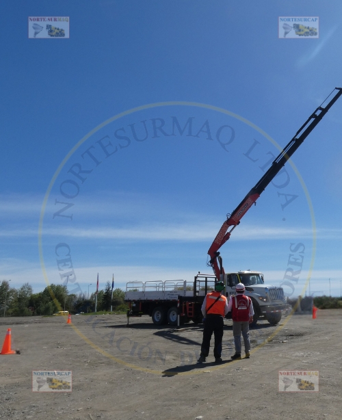 CAMIÓN PLUMA 1 (500 x 614 px) (1)